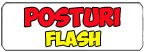 Posturi Flash
